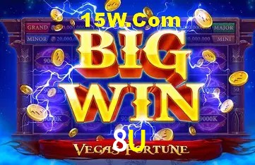 Experiência VIP 8U